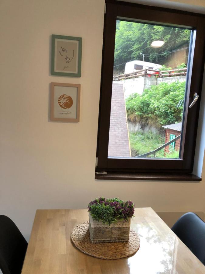 Vila Irina Kopaonik - Apartman Jovana ภายนอก รูปภาพ