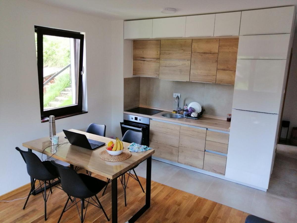 Vila Irina Kopaonik - Apartman Jovana ภายนอก รูปภาพ