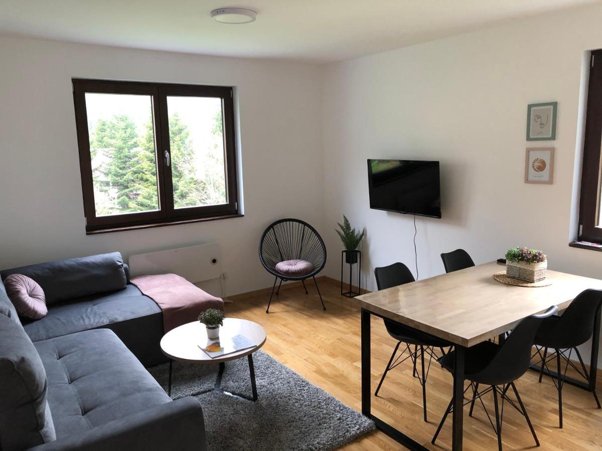 Vila Irina Kopaonik - Apartman Jovana ภายนอก รูปภาพ