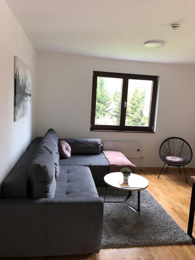 Vila Irina Kopaonik - Apartman Jovana ภายนอก รูปภาพ