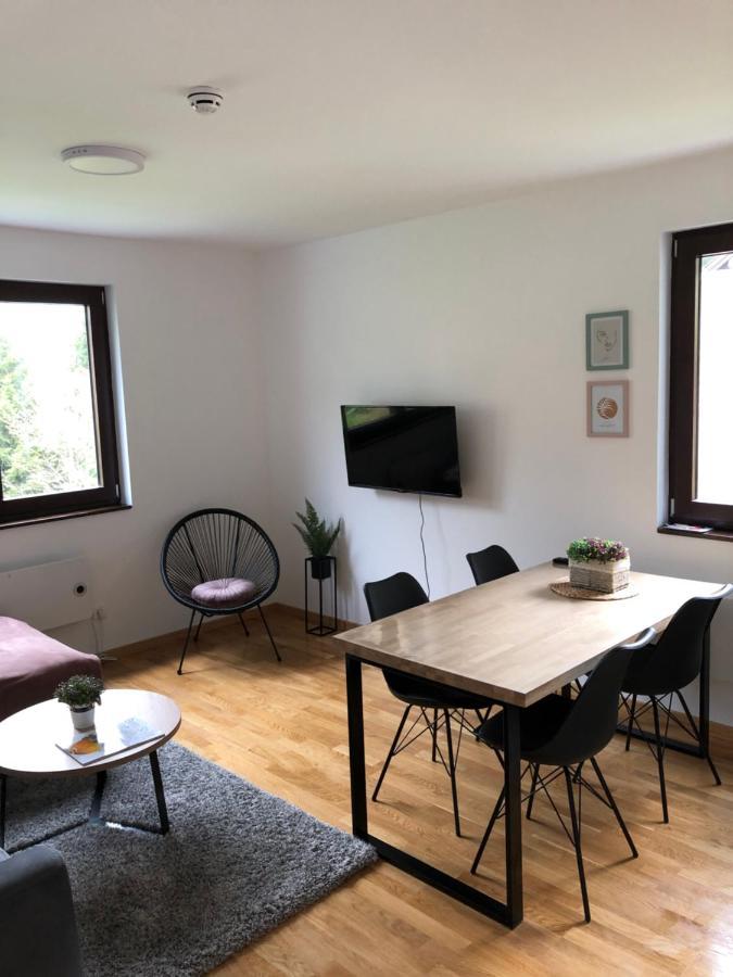 Vila Irina Kopaonik - Apartman Jovana ภายนอก รูปภาพ