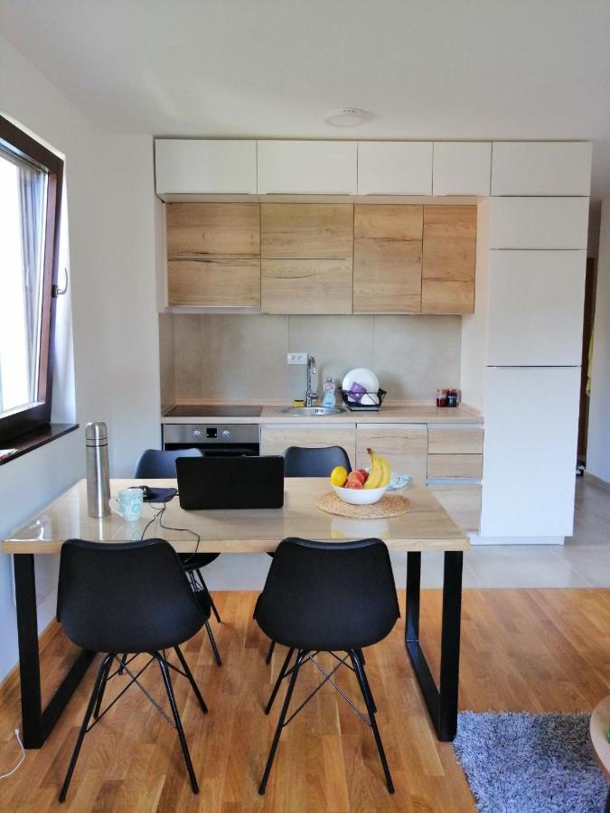 Vila Irina Kopaonik - Apartman Jovana ภายนอก รูปภาพ